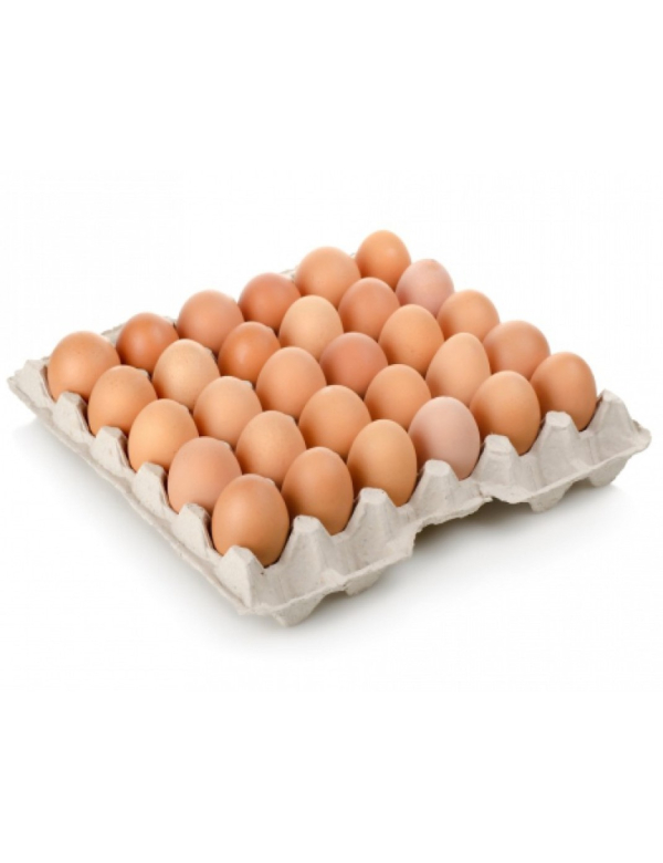 Scharrel ei per tray 30 stuks Scharrel ei per tray 30 stuks