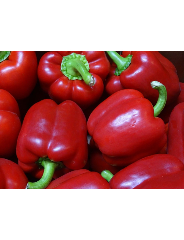 Paprika