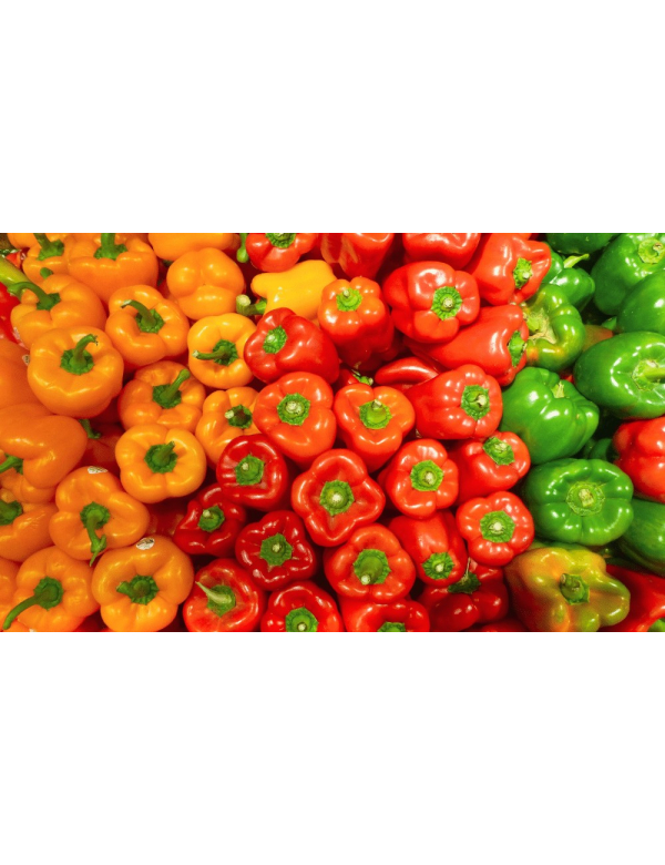 Onbespoten PAPRIKA Onbespoten PAPRIKA