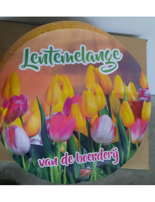 Lentekaas 